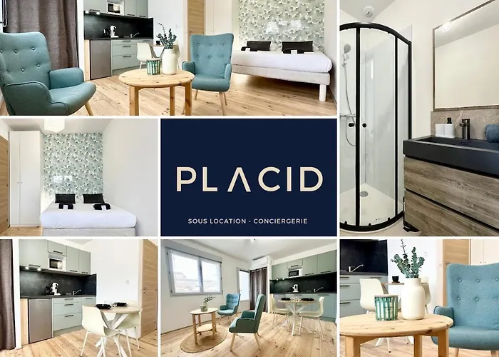 La Scene De Moliere - Neuf - Clim - - Fibre Mont de Marsan